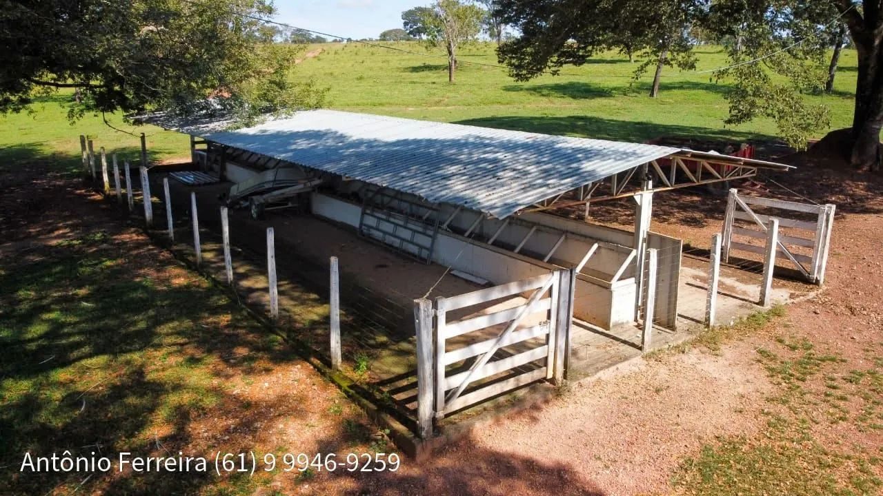 Fazenda de 1.500 Hectares à Venda em Catalão/GO – Dupla Aptidão - foto 11