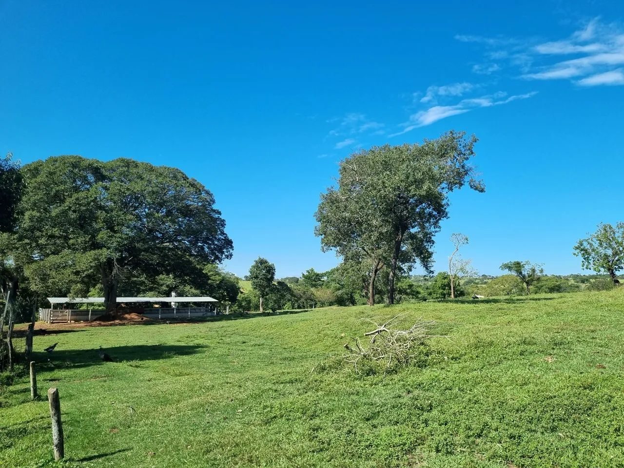 Fazenda de 1.500 Hectares à Venda em Catalão/GO – Dupla Aptidão - foto 16