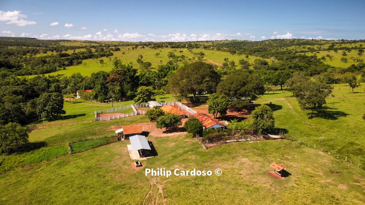 Fazenda de 1.500 Hectares à Venda em Catalão/GO – Dupla Aptidão - foto 18