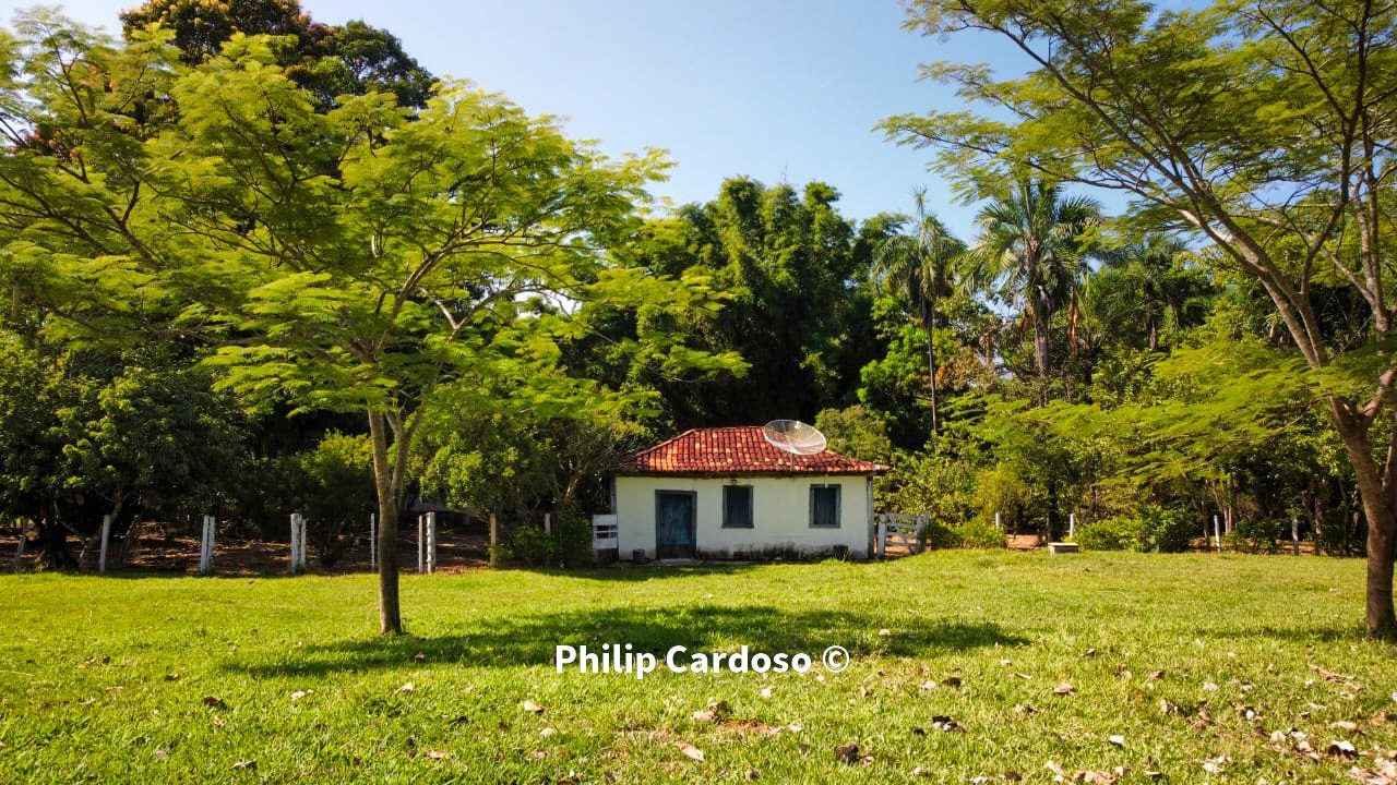 Fazenda de 1.500 Hectares à Venda em Catalão/GO – Dupla Aptidão - foto 21
