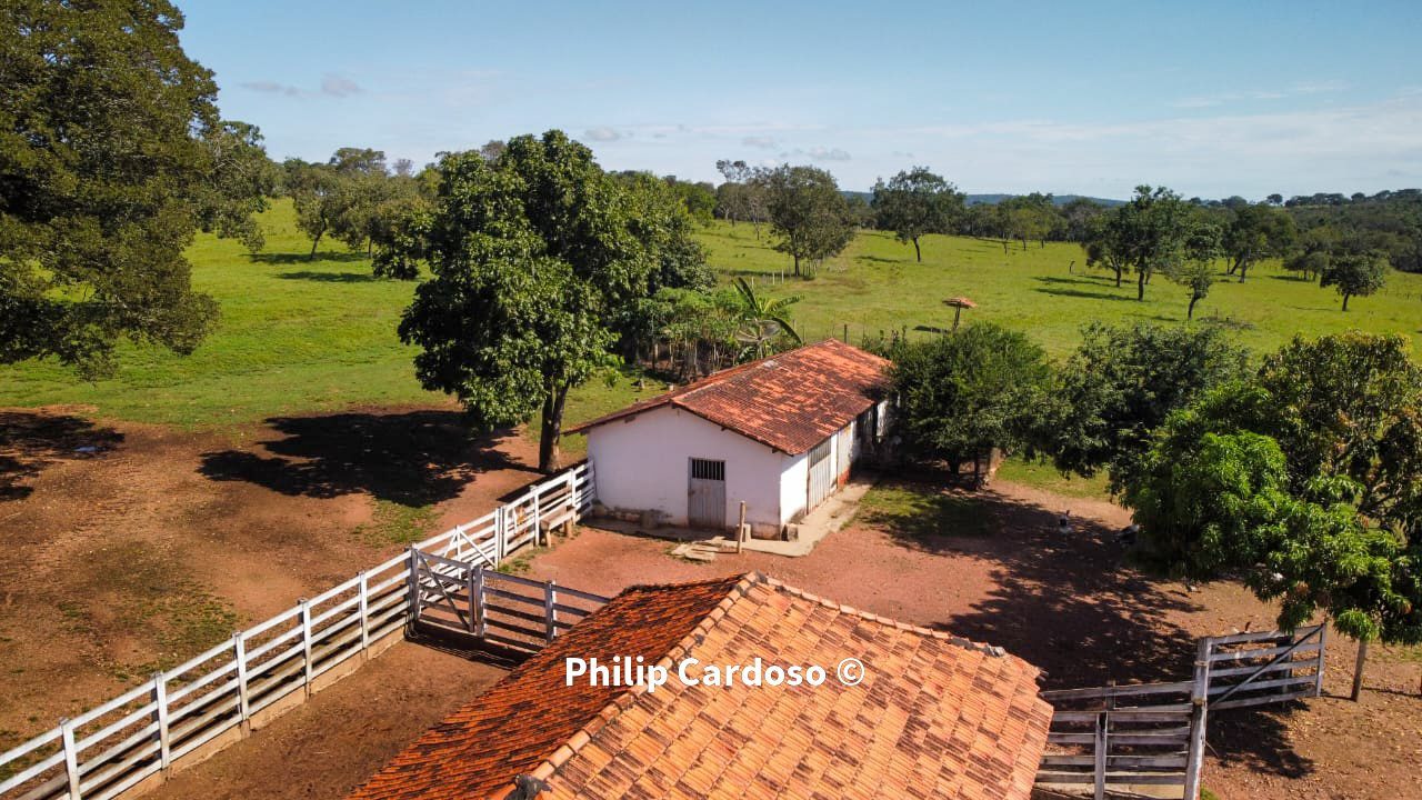 Fazenda de 1.500 Hectares à Venda em Catalão/GO – Dupla Aptidão - foto 24