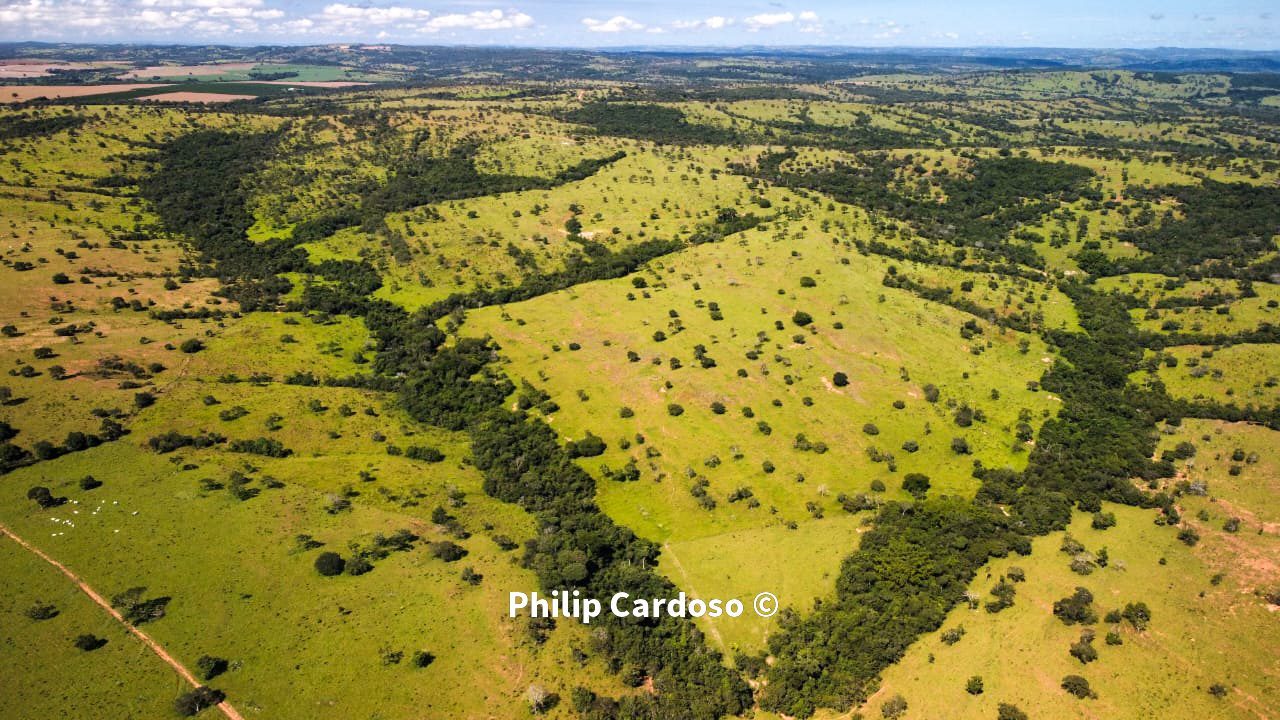Fazenda de 1.500 Hectares à Venda em Catalão/GO – Dupla Aptidão - foto 29