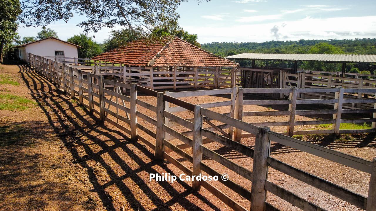 Fazenda de 1.500 Hectares à Venda em Catalão/GO – Dupla Aptidão - foto 31