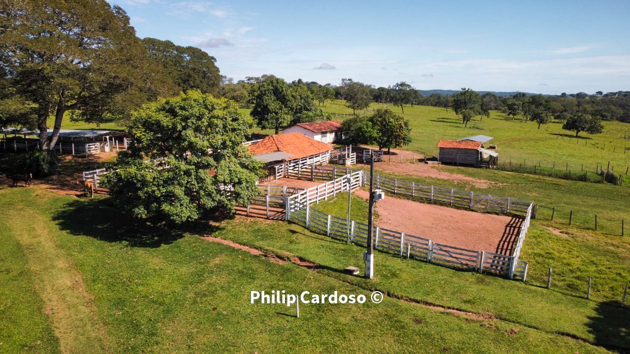 Fazenda de 1.500 Hectares à Venda em Catalão/GO – Dupla Aptidão - foto 34