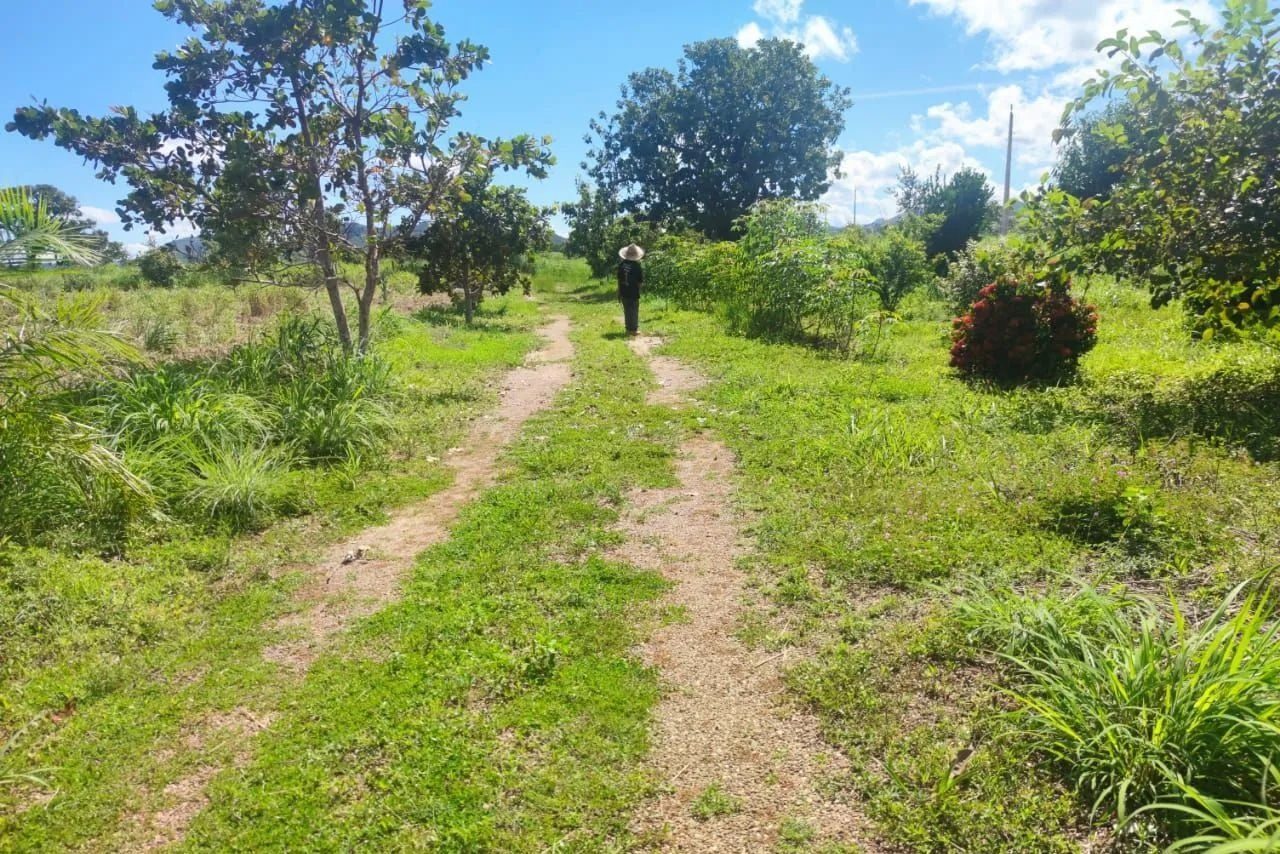 16,83 hectares, município de Padre Bernardo