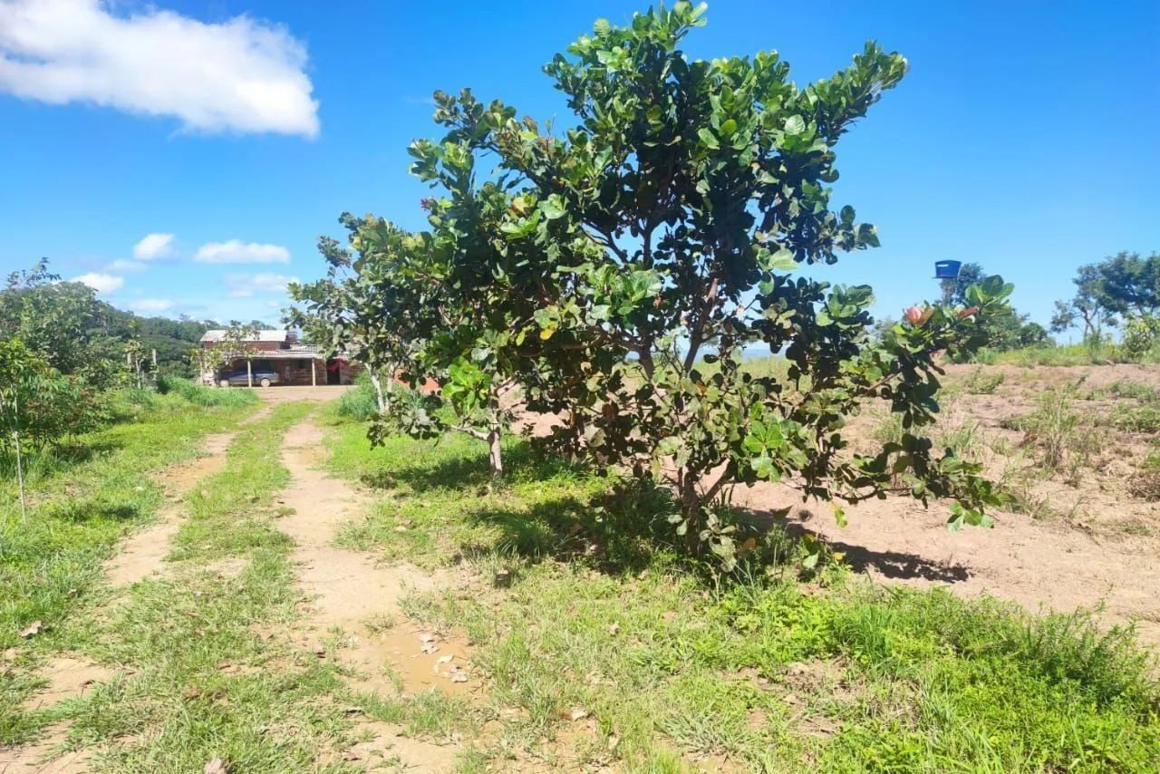 16,83 hectares, município de Padre Bernardo - foto 6