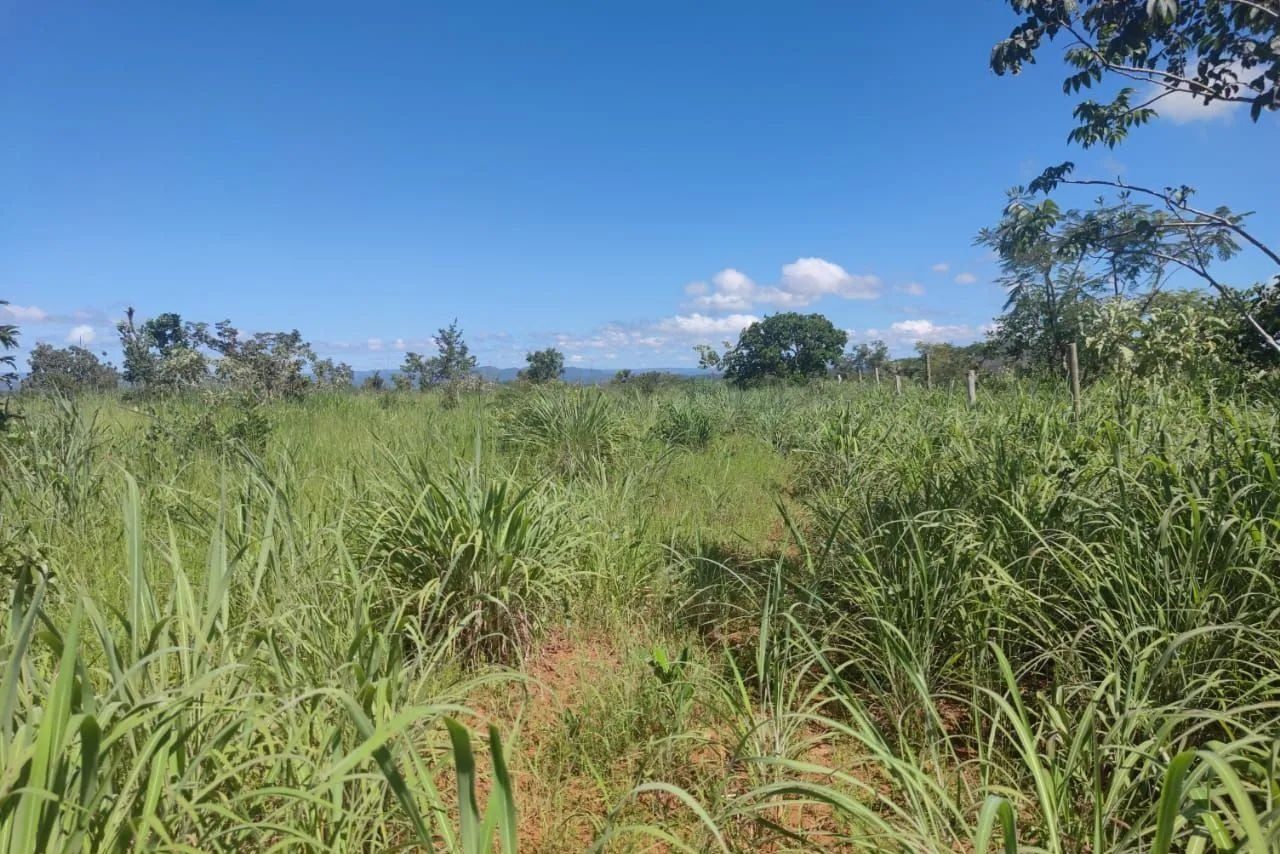 16,83 hectares, município de Padre Bernardo - foto 7