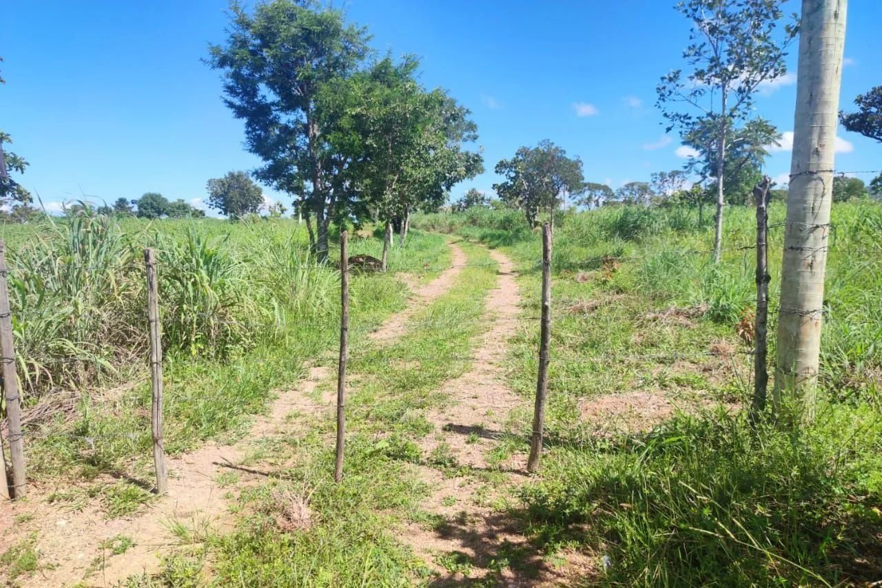 16,83 hectares, município de Padre Bernardo - foto 11