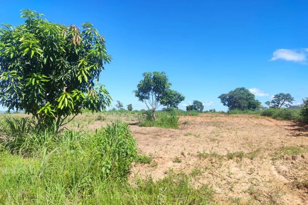 16,83 hectares, município de Padre Bernardo - foto 12