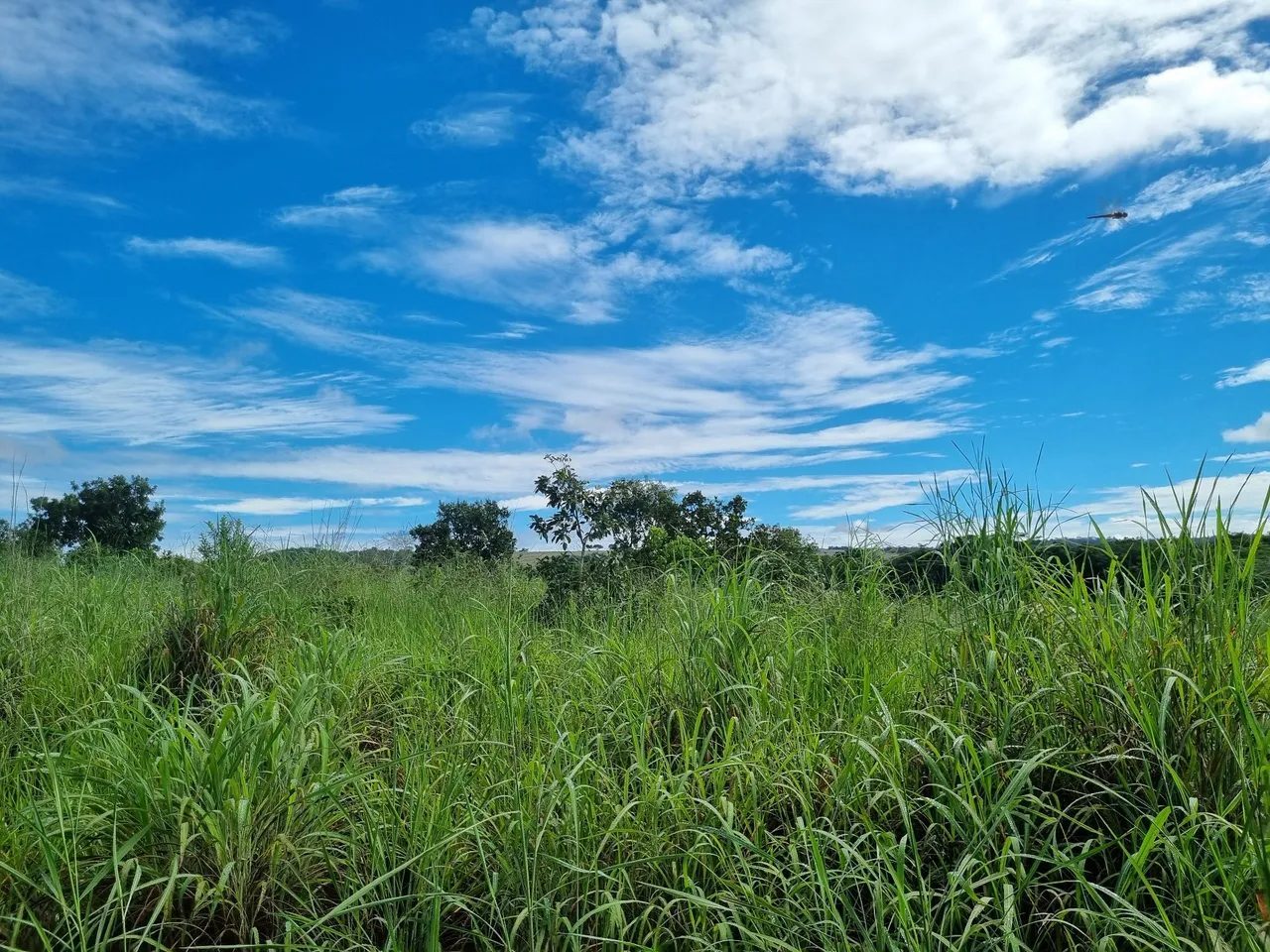 CHÁCARA DE 7,2 HECTARES