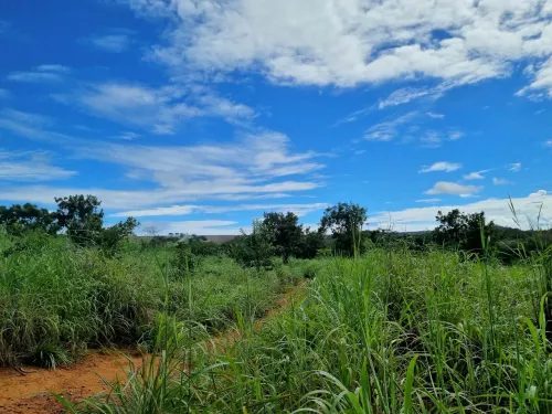 CHÁCARA DE 7,2 HECTARES - foto 16