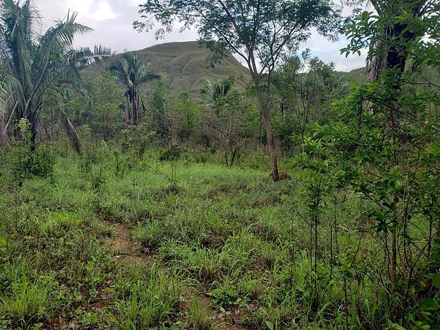 Fazenda de 1.210 Hectares com potencial agropecuário e turístico - foto 14