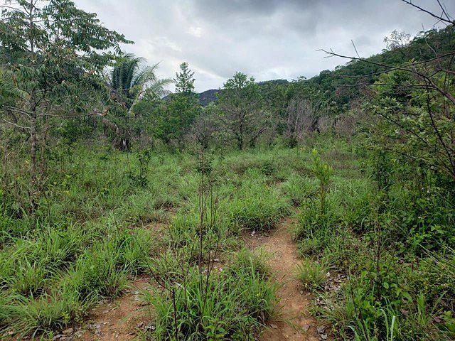 Fazenda de 1.210 Hectares com potencial agropecuário e turístico - foto 15
