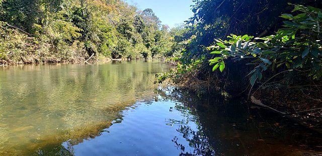 Fazenda de 1.210 Hectares com potencial agropecuário e turístico - foto 18