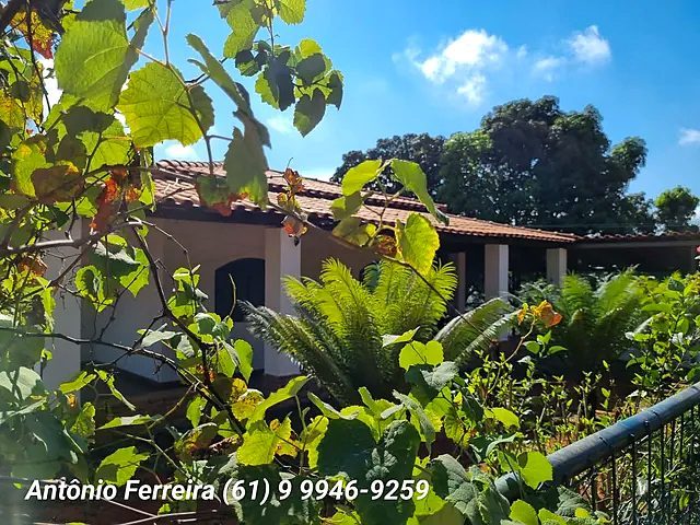 Confinamento à Venda em Santo Antônio do Descoberto-GO - foto 6