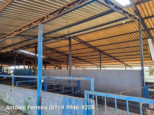 Confinamento à Venda em Santo Antônio do Descoberto-GO - foto 7