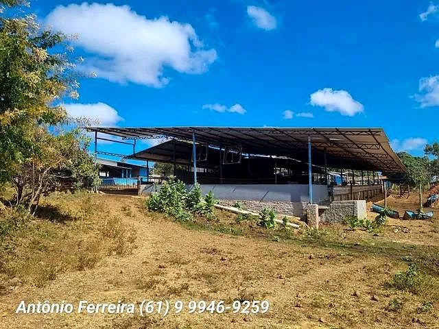 Confinamento à Venda em Santo Antônio do Descoberto-GO - foto 9