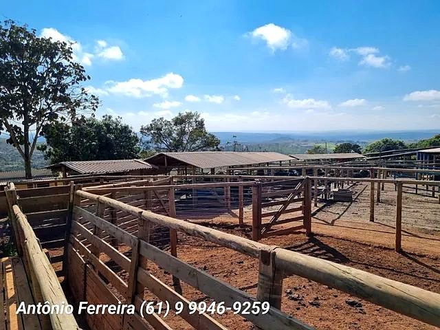 Confinamento à Venda em Santo Antônio do Descoberto-GO - foto 12