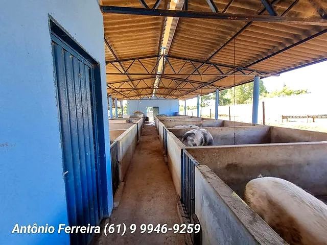 Confinamento à Venda em Santo Antônio do Descoberto-GO - foto 16