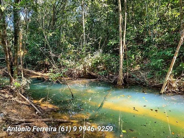 Confinamento à Venda em Santo Antônio do Descoberto-GO - foto 20