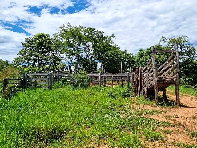 FAZENDA À VENDA EM PLANALTINA DE GOIÁS – GO - foto 4