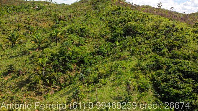 FAZENDA À VENDA EM PLANALTINA DE GOIÁS – GO - foto 5