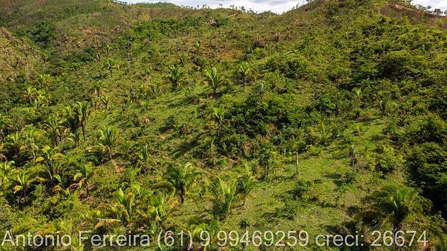FAZENDA À VENDA EM PLANALTINA DE GOIÁS – GO - foto 6