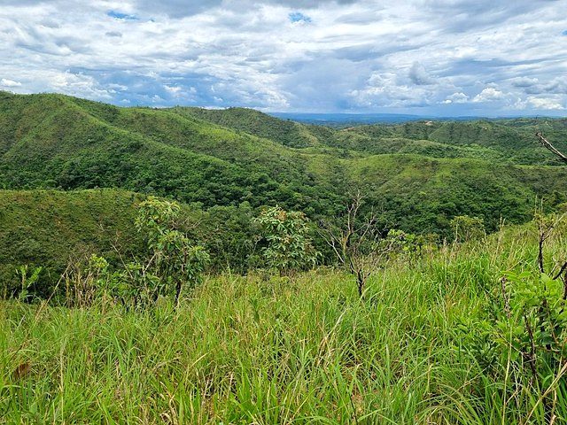 FAZENDA À VENDA EM PLANALTINA DE GOIÁS – GO - foto 7