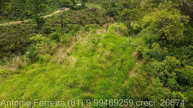 FAZENDA À VENDA EM PLANALTINA DE GOIÁS – GO - foto 8