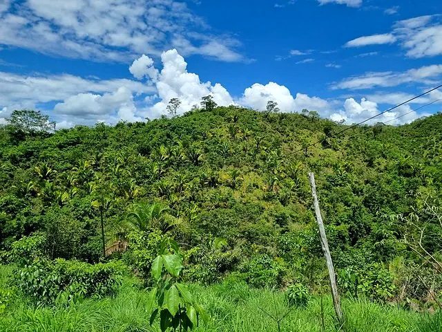FAZENDA À VENDA EM PLANALTINA DE GOIÁS – GO - foto 9