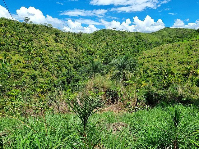 FAZENDA À VENDA EM PLANALTINA DE GOIÁS – GO - foto 11