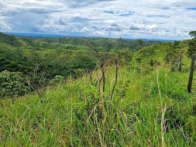 FAZENDA À VENDA EM PLANALTINA DE GOIÁS – GO - foto 12