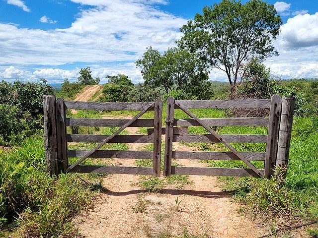 FAZENDA À VENDA EM PLANALTINA DE GOIÁS – GO - foto 13
