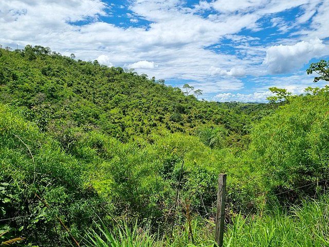 FAZENDA À VENDA EM PLANALTINA DE GOIÁS – GO - foto 14