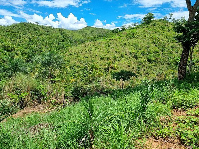 FAZENDA À VENDA EM PLANALTINA DE GOIÁS – GO - foto 15