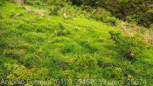 FAZENDA À VENDA EM PLANALTINA DE GOIÁS – GO - foto 17