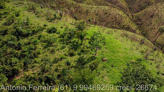 FAZENDA À VENDA EM PLANALTINA DE GOIÁS – GO - foto 18